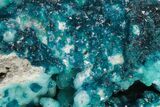 Vibrant Blue Veszelyite Cluster on Hemimorphite - Congo #206045-1